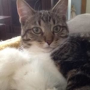 Meet your Posher, Mary